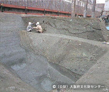 写真2. 発掘された堀の断面