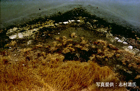 写真1.発掘前の石列の露出状況(志村清氏提供)
