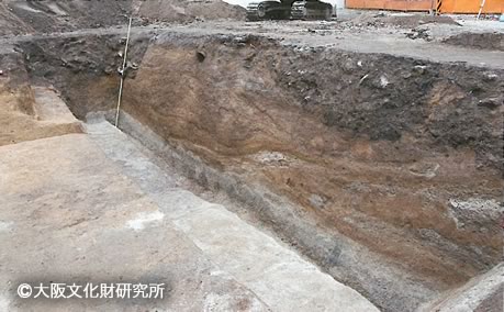 写真3.調査地2堤の断面(東から)
