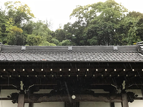 写真2.兵庫県城崎、本住寺本堂