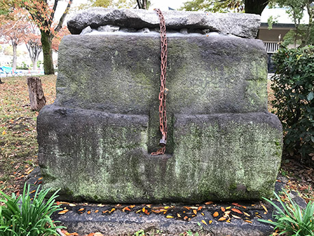 写真3.修道館西の井筒の調整痕(西から)