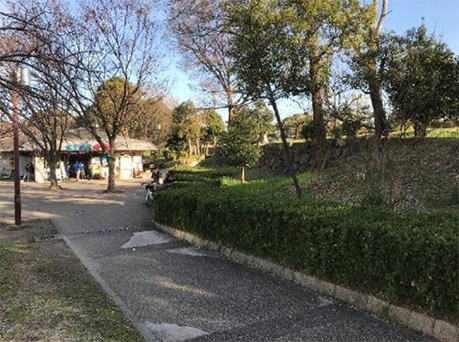 写真1.水上バス乗場付近の徳川期石垣(北西から)