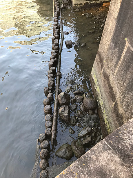 写真3.水門前面に打込まれた木杭