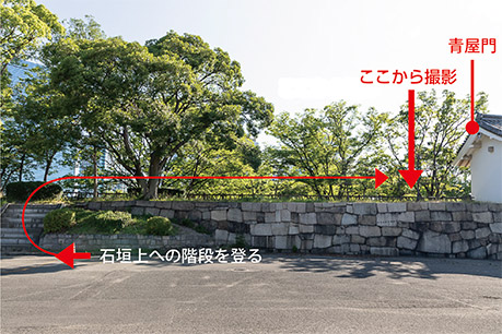 写真1の撮影場所