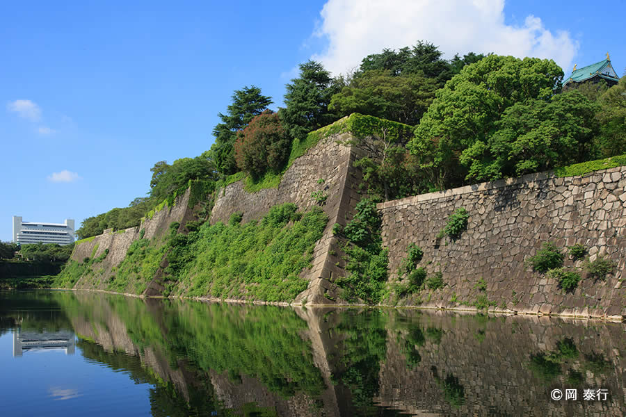 写真2.日本一の高さを誇る本丸東面石垣