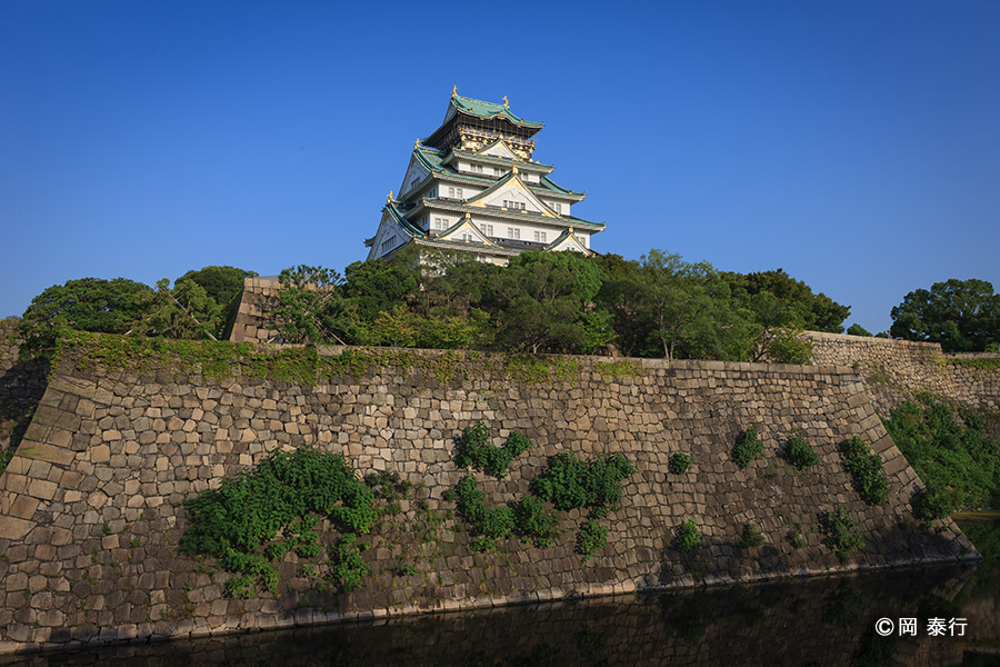 写真1.西の丸の北仕切から天守を望む
