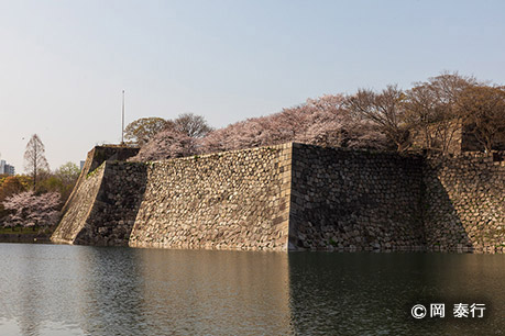 写真4.玉造口の東側にあるもうひとつの隠し曲輪