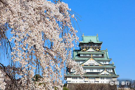 写真2.春のサクラの季節には近くにあるしだれ桜を写し込むのもおすすめ